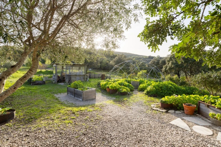 Moradia T3 para Venda em Conceição e Estoi Foto 48