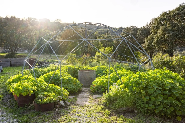 Moradia T3 para Venda em Conceição e Estoi Foto 49