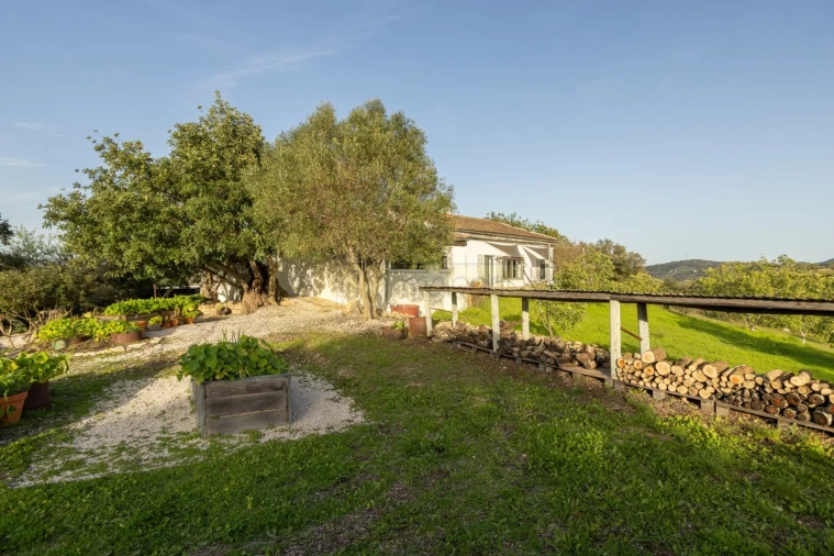 Moradia T3 para Venda em Conceição e Estoi Foto 50