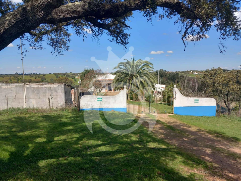 Quinta T3 para Venda em Serpa (Salvador e Santa Maria) Foto 6