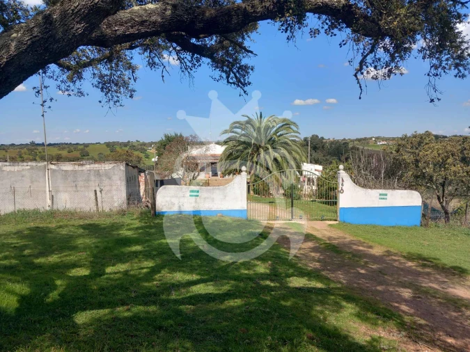 Quinta T3 para Venda em Serpa (Salvador e Santa Maria) Foto 6