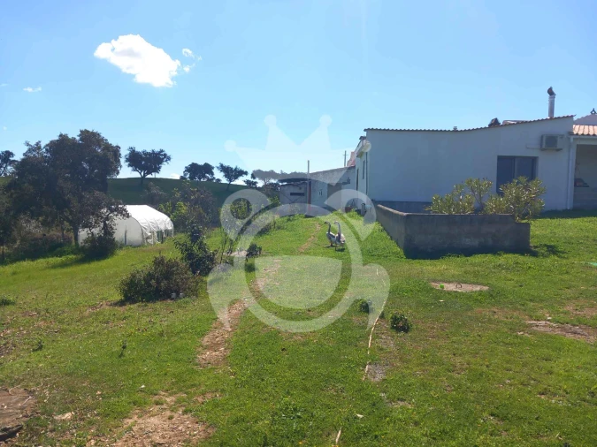 Quinta T3 para Venda em Serpa (Salvador e Santa Maria) Foto 10