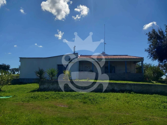 Quinta T3 para Venda em Serpa (Salvador e Santa Maria) Foto 9