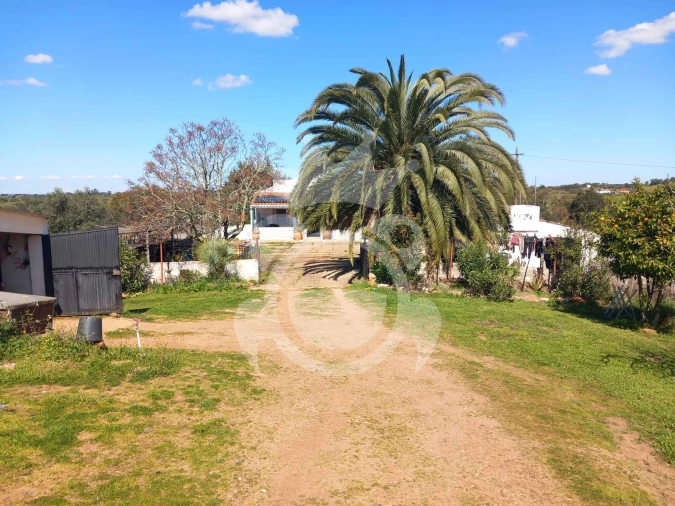 Quinta T3 para Venda em Serpa (Salvador e Santa Maria) Foto 5