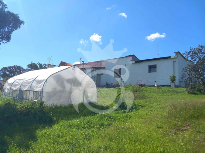 Quinta T3 para Venda em Serpa (Salvador e Santa Maria) Foto 11