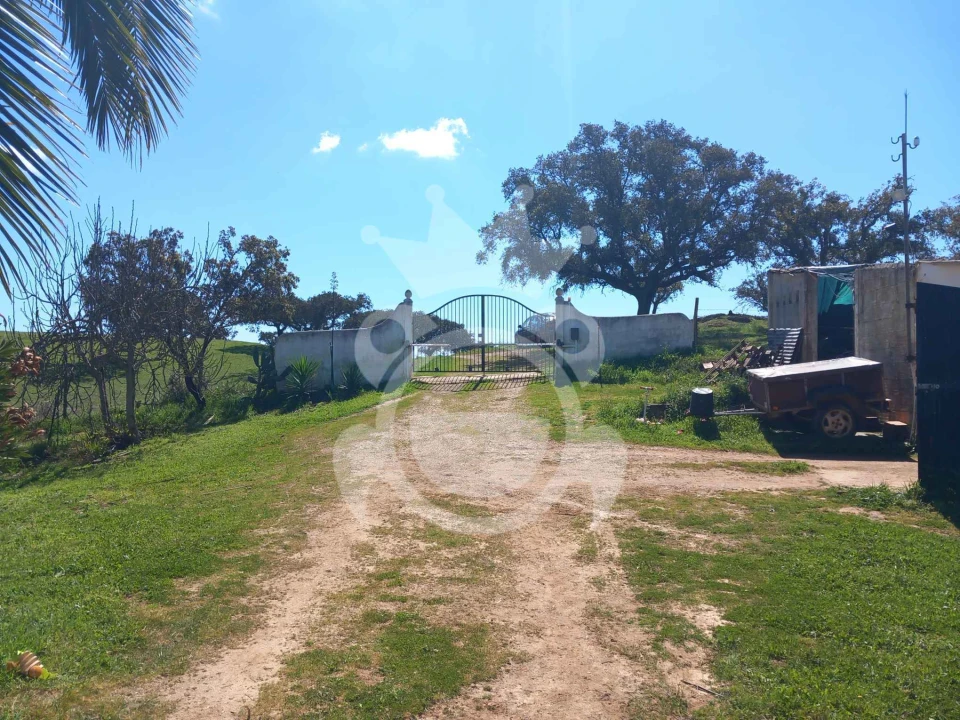 Quinta T3 para Venda em Serpa (Salvador e Santa Maria) Foto 4