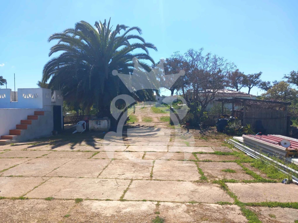 Quinta T3 para Venda em Serpa (Salvador e Santa Maria) Foto 3