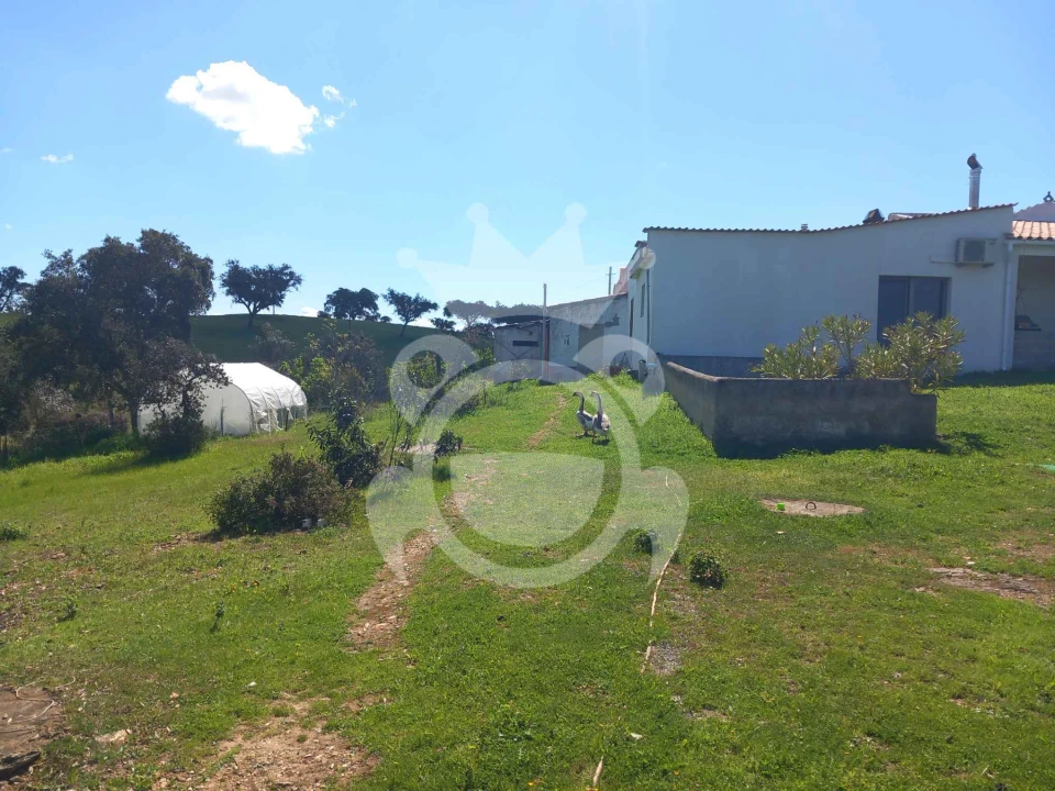 Quinta T3 para Venda em Serpa (Salvador e Santa Maria) Foto 10