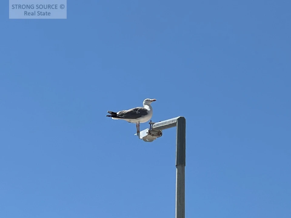 Moradia T3 para Venda em Sesimbra (Santiago) Foto 101