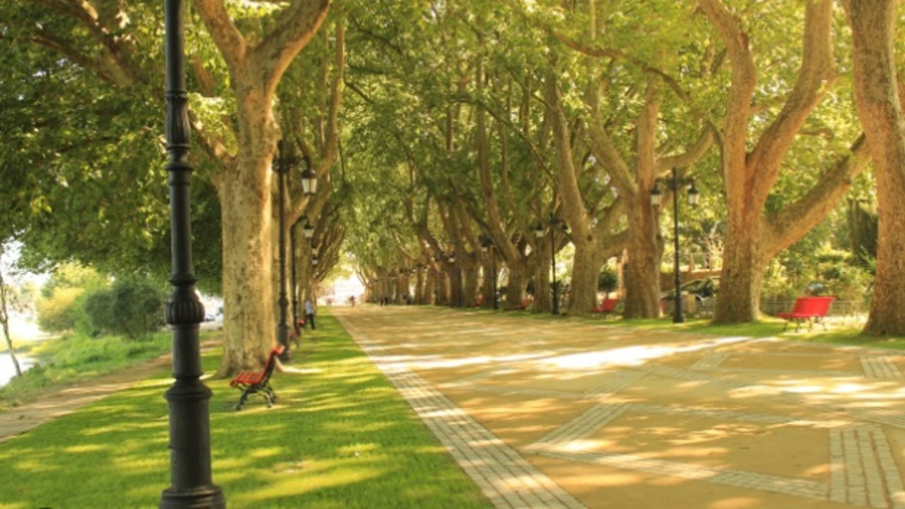 Moradia T4 para Venda em Correlhã Foto 18