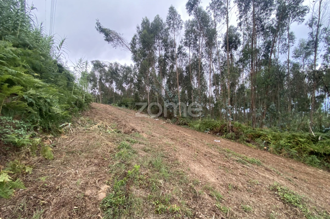 Terreno para Venda em Alqueidão Foto 10