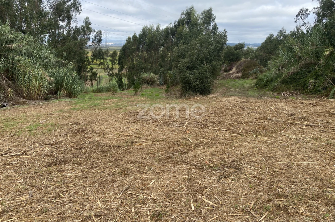 Terreno para Venda em Alqueidão Foto 11