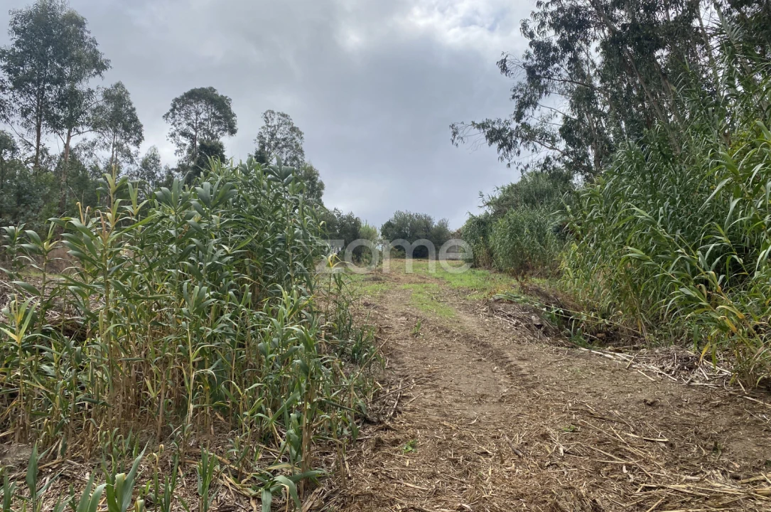 Terreno para Venda em Alqueidão Foto 12