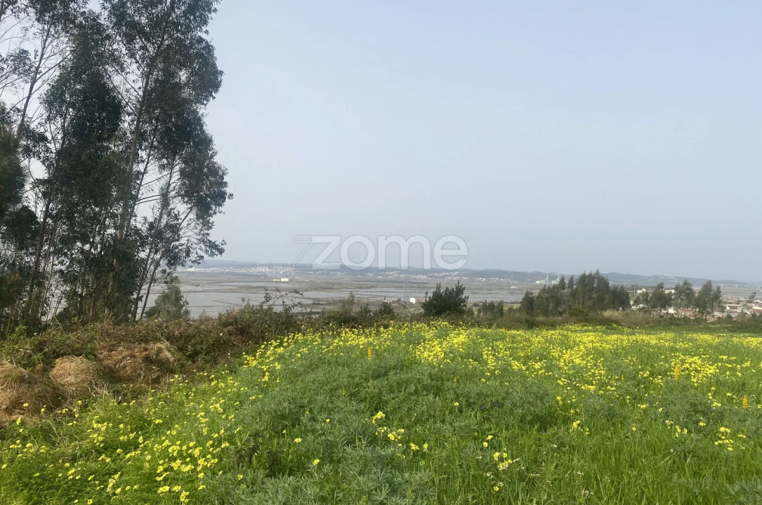 Terreno para Venda em Alqueidão Foto 11