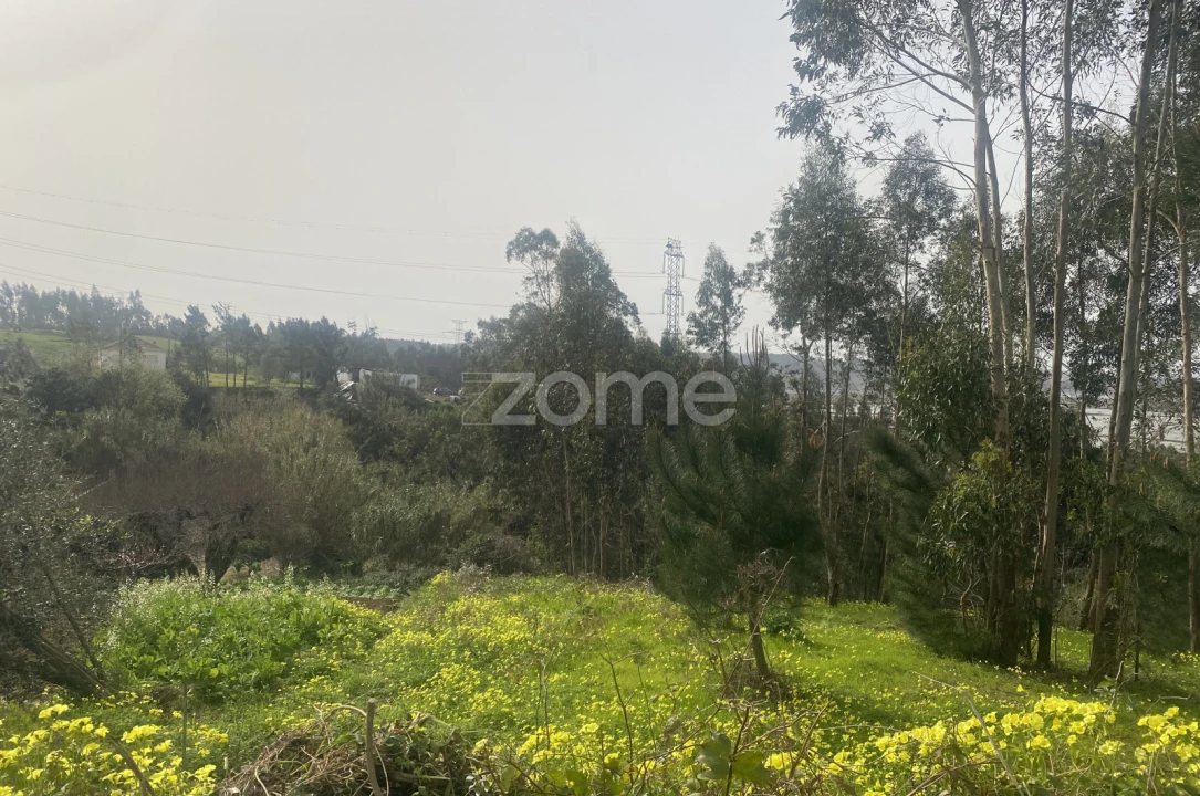 Terreno para Venda em Alqueidão Foto 12