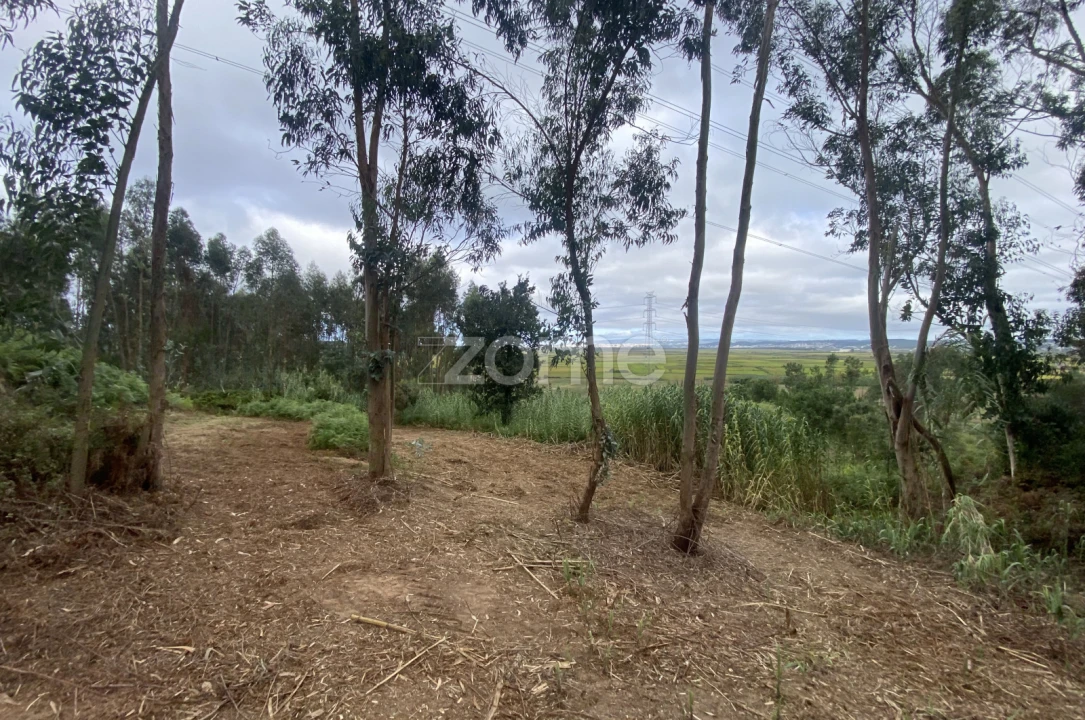 Terreno para Venda em Alqueidão Foto 14