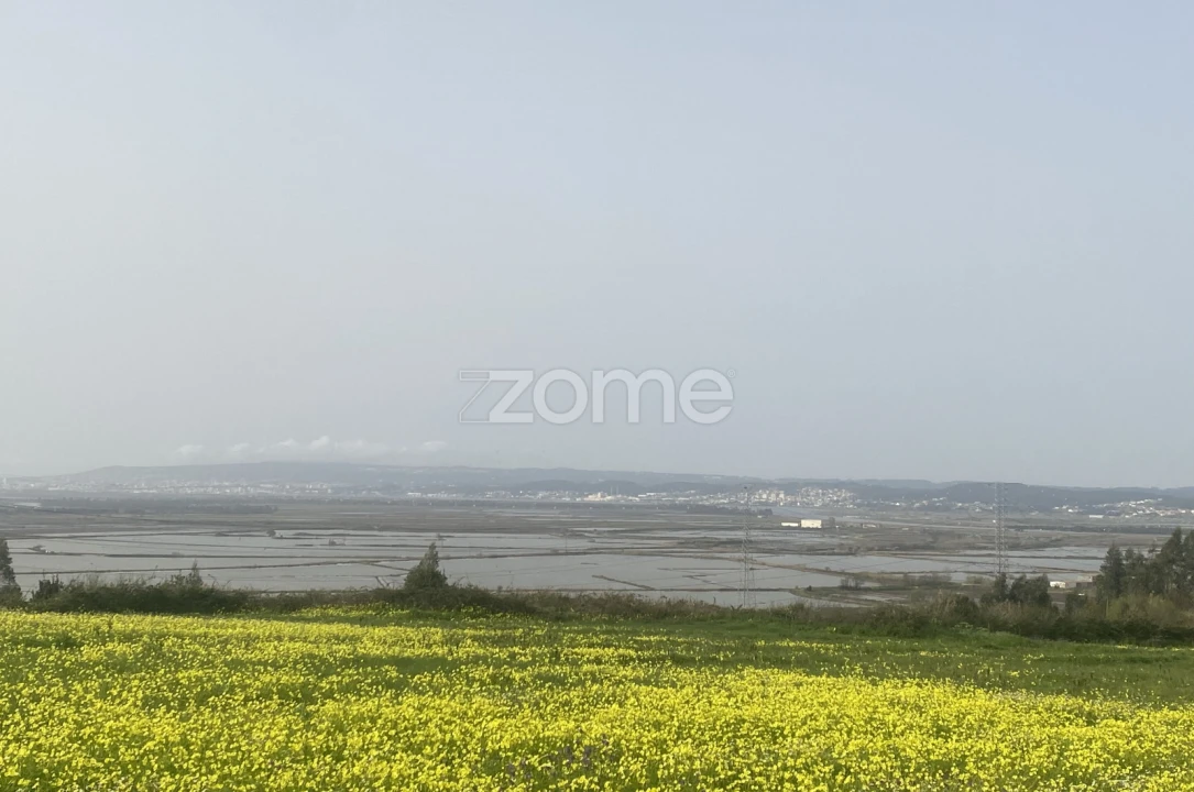Terreno para Venda em Alqueidão Foto 15