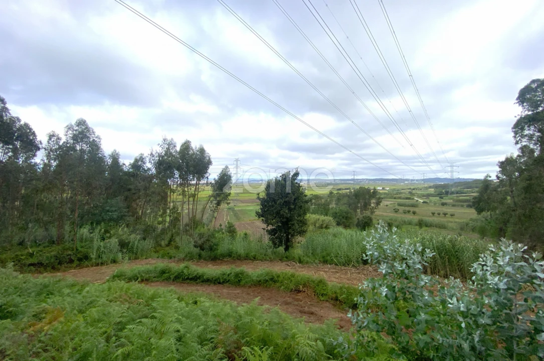 Terreno para Venda em Alqueidão Foto 19