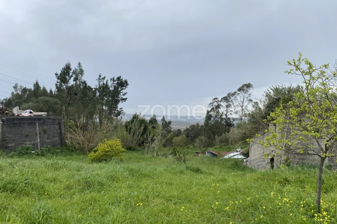 Terreno para Venda em Alqueidão Foto 3