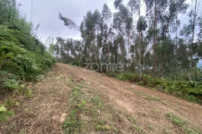 Terreno para Venda em Alqueidão