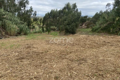 Terreno para Venda em Alqueidão