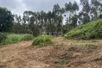 Terreno para Venda em Alqueidão