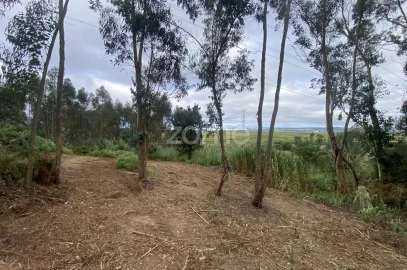 Terreno para Venda em Alqueidão