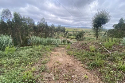 Terreno para Venda em Alqueidão