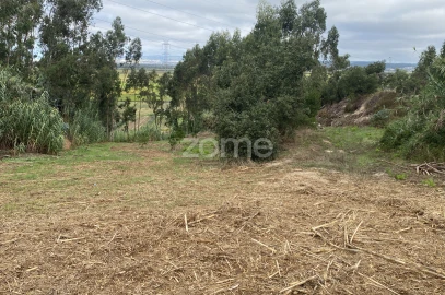 Terreno para Venda em Alqueidão