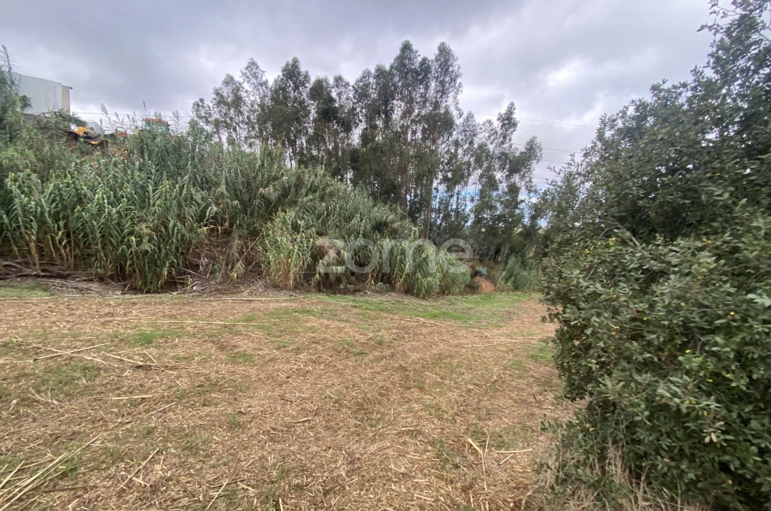 Terreno para Venda em Alqueidão Foto 4