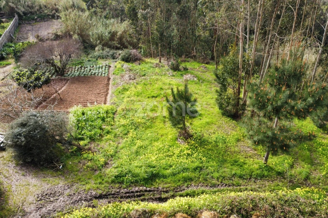 Terreno para Venda em Alqueidão Foto 4