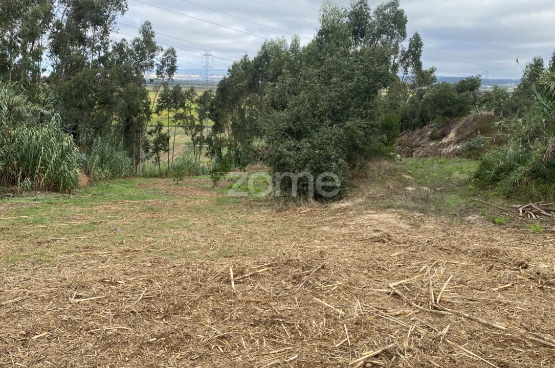 Terreno para Venda em Alqueidão Foto 6