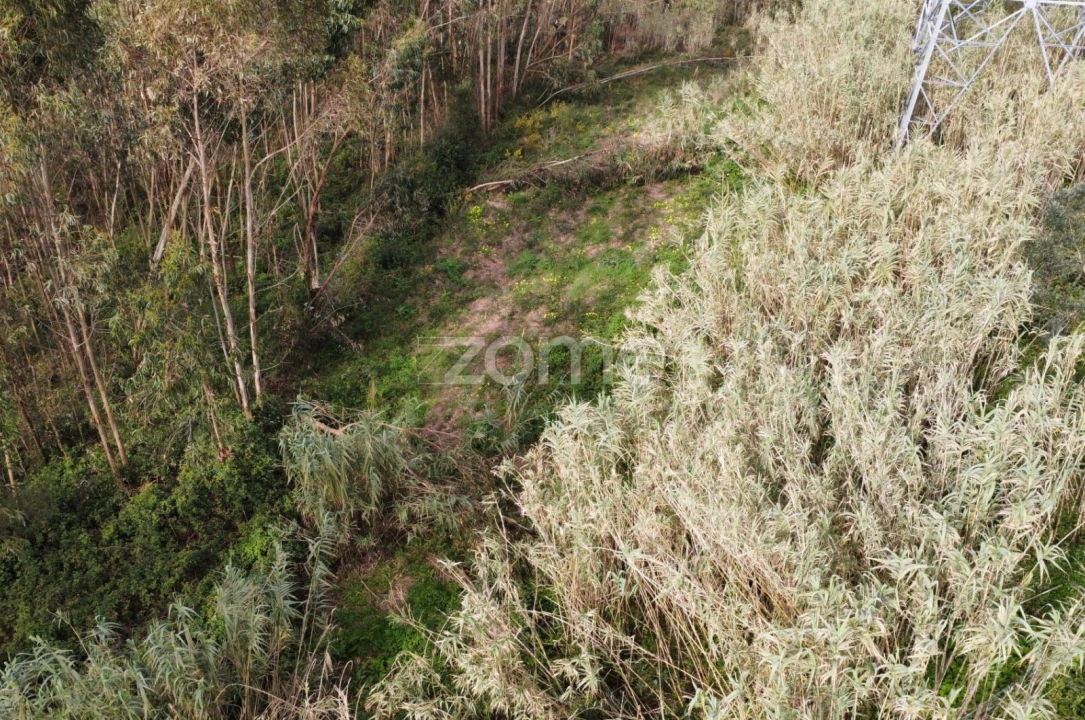 Terreno para Venda em Alqueidão Foto 7