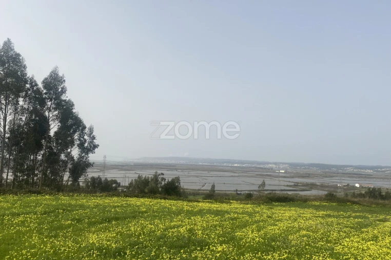 Terreno para Venda em Alqueidão Foto 9