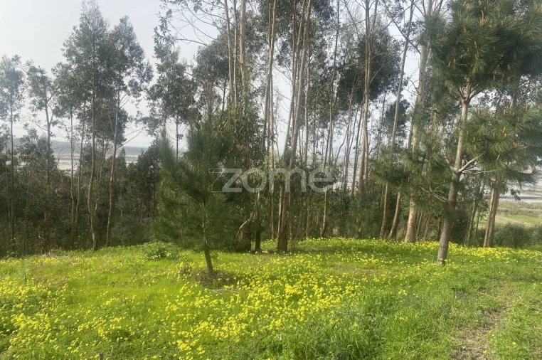 Terreno para Venda em Alqueidão Foto 10