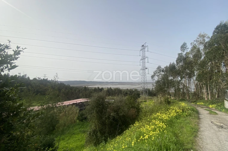 Terreno para Venda em Alqueidão Foto 13