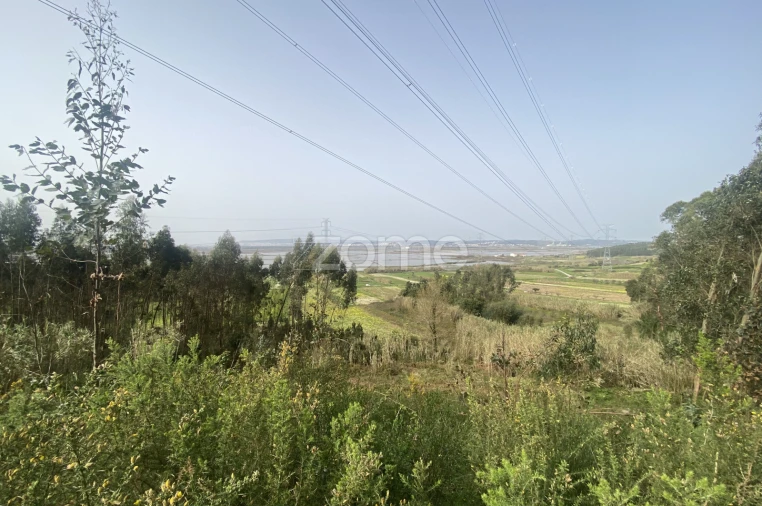 Terreno para Venda em Alqueidão Foto 14