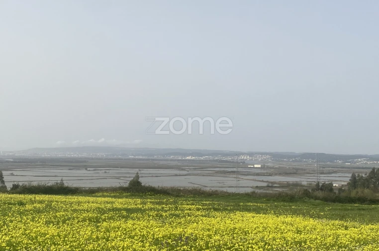 Terreno para Venda em Alqueidão Foto 15