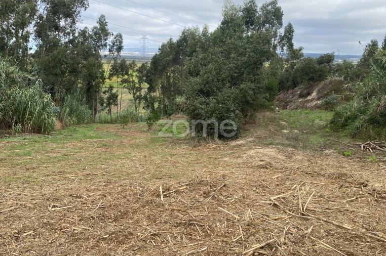 Terreno para Venda em Alqueidão Foto 6