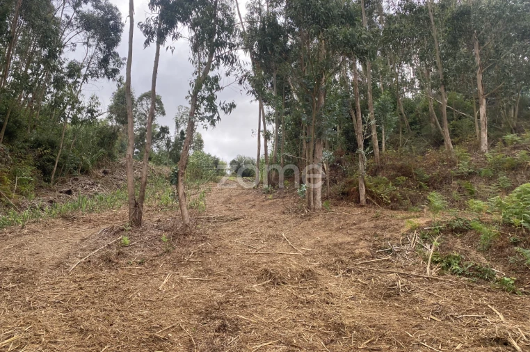 Terreno para Venda em Alqueidão Foto 8
