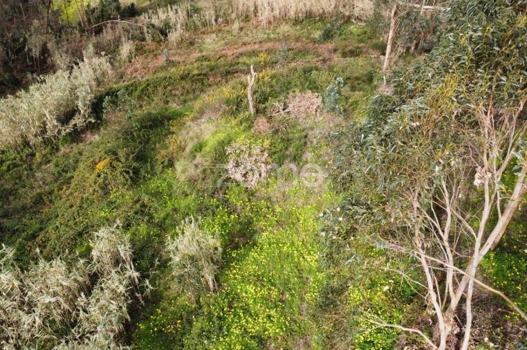 Terreno para Venda em Alqueidão Foto 6