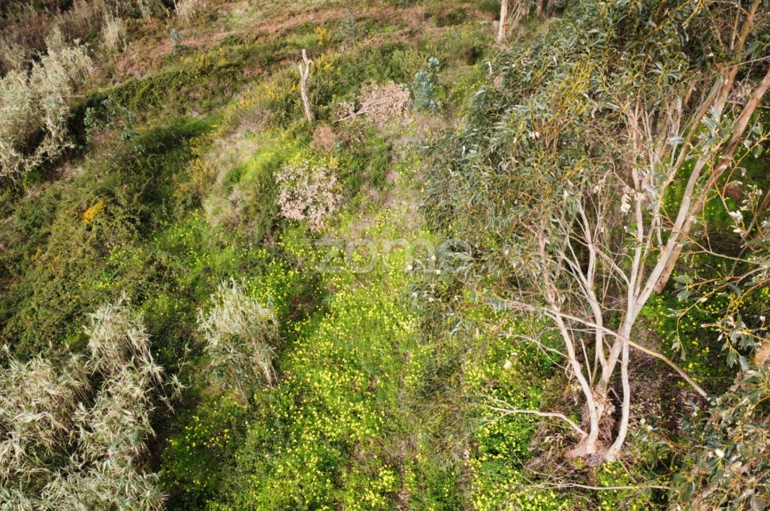 Terreno para Venda em Alqueidão Foto 8