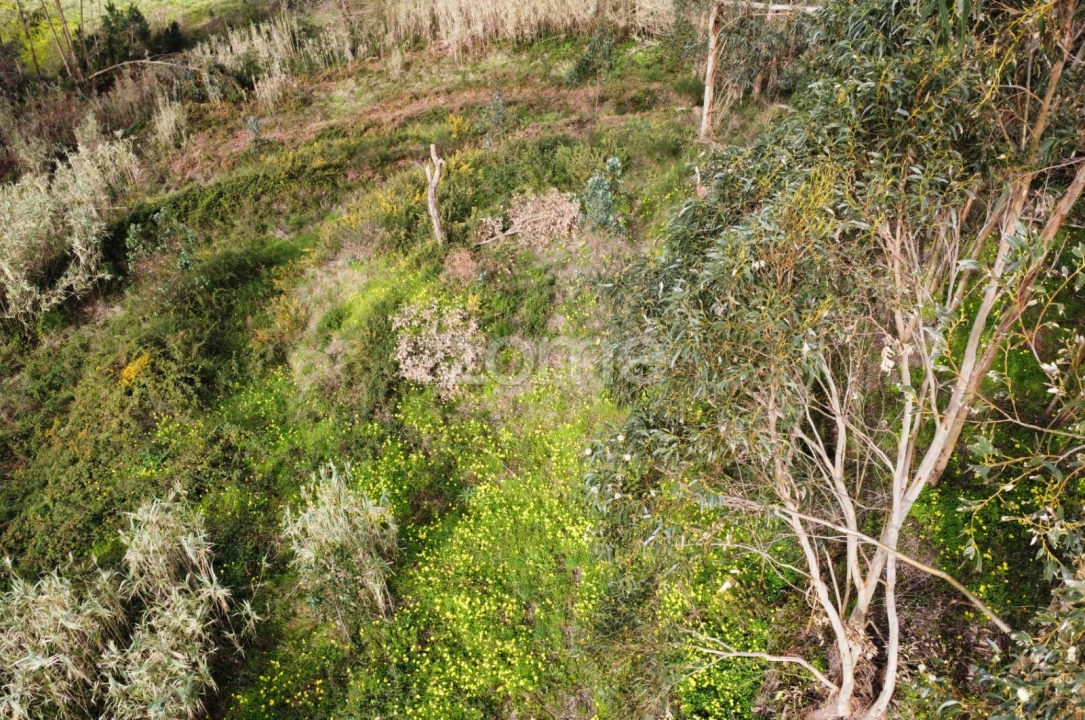 Terreno para Venda em Alqueidão Foto 5