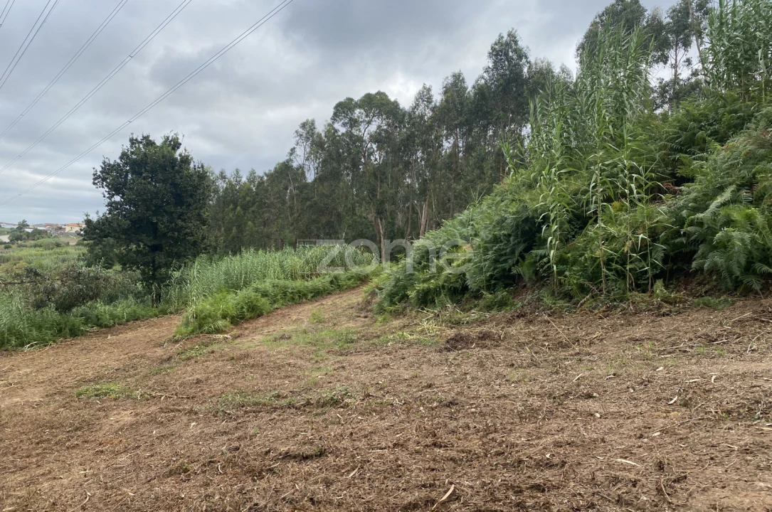 Terreno para Venda em Alqueidão Foto 9
