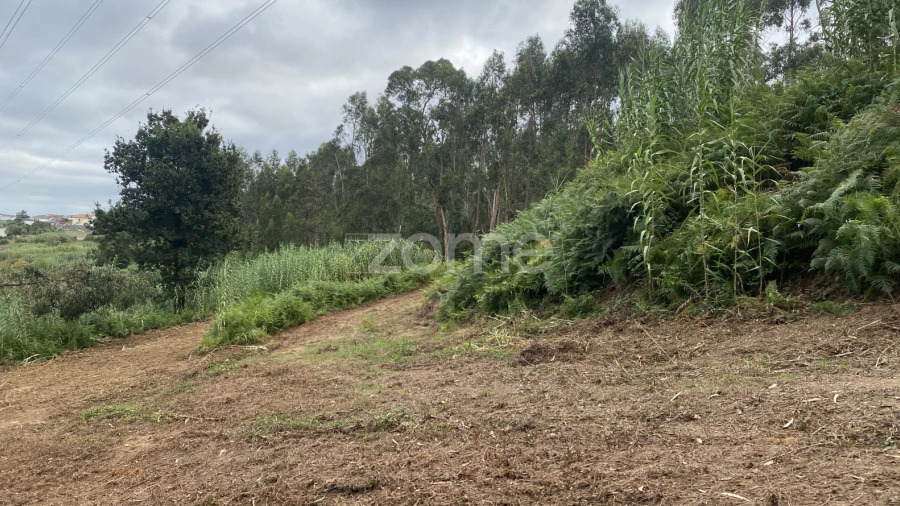 Terreno para Venda em Alqueidão
