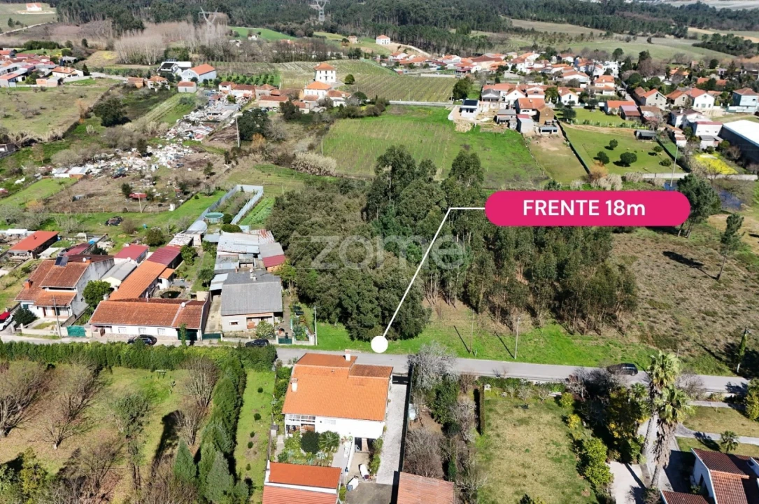 Terreno para Venda em Sangalhos Foto 3