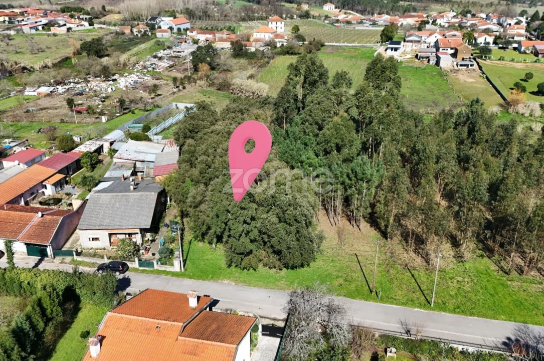 Terreno para Venda em Sangalhos Foto 13