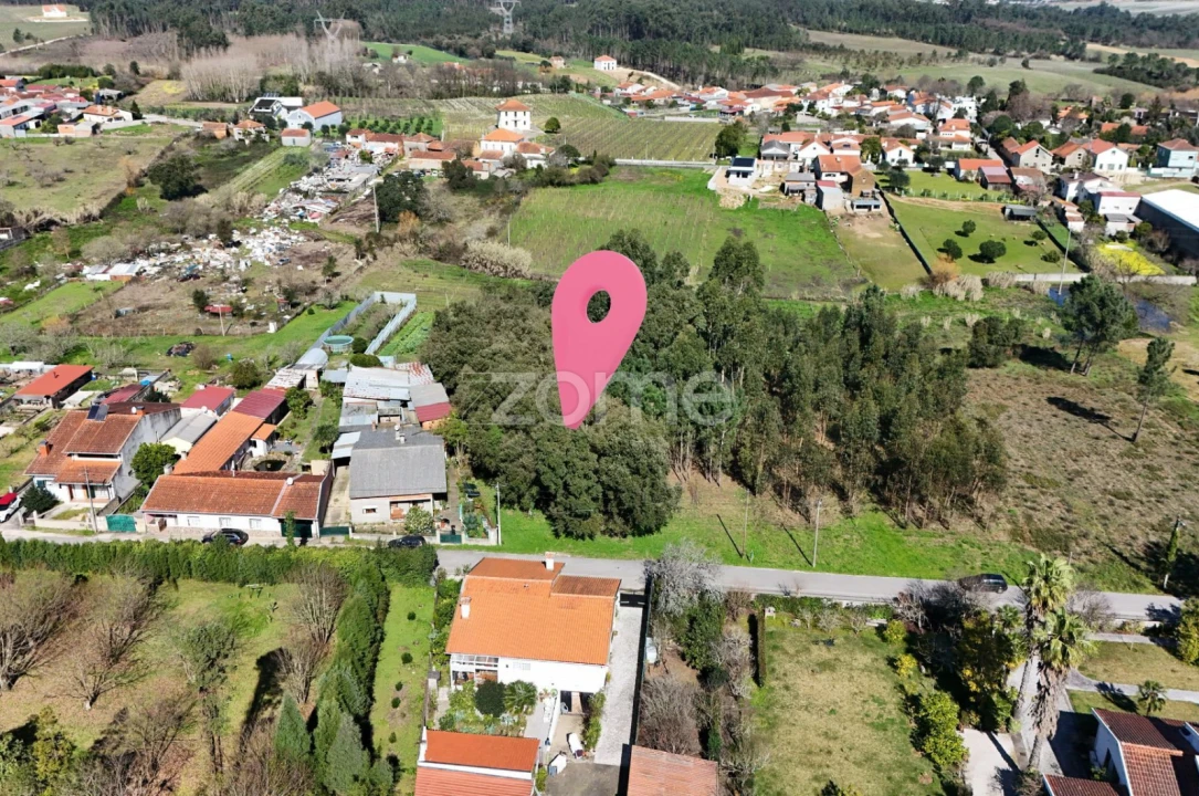 Terreno para Venda em Sangalhos Foto 7