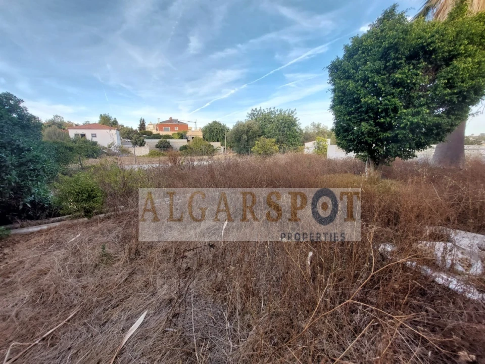 Terreno para Venda em Almancil Foto 7