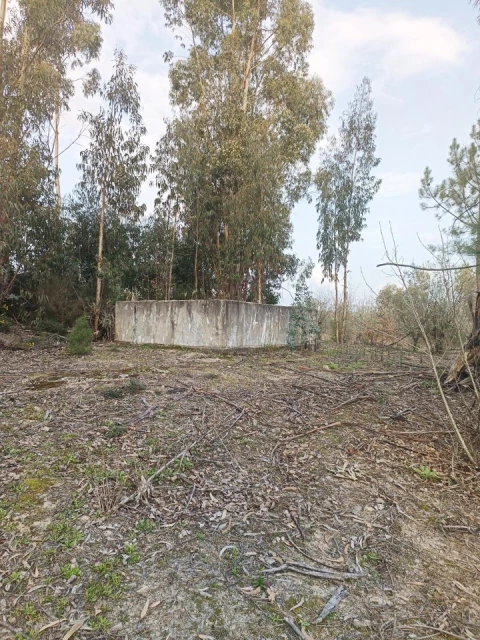 Moradia T2 para Venda em Travanca de Lagos